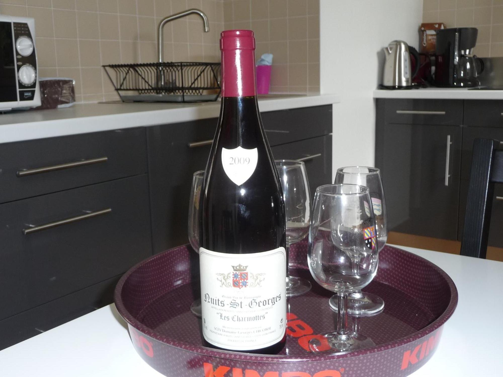 Les Charmottes Apartment Nuits-Saint-Georges Luaran gambar